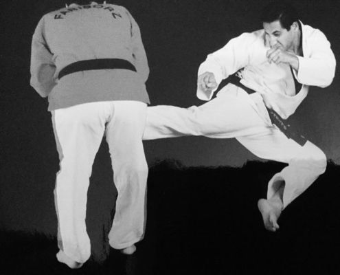 La historia del Karate descubrela