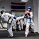 Taekwondo: Tipos de patadas y movimientos básicos