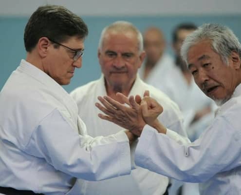 Karate-Do: El Camino de la Mano Vacía (tercera parte)